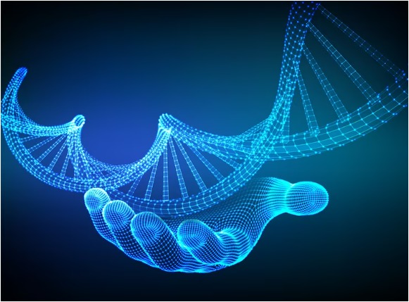 Bioinformatics Services