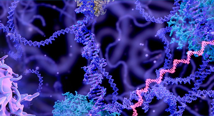 Cancer Research Samples