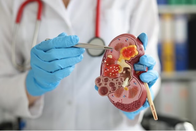 Endocrine / Exocrine Research Samples