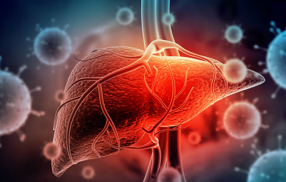 Liver Disease Research Samples