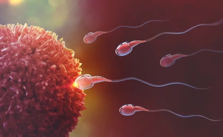Reproductive Research Samples